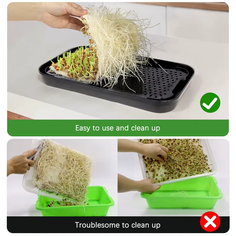 Vassoio Idroponico per Microgr - Hydroponic Kit recensione e prezzo