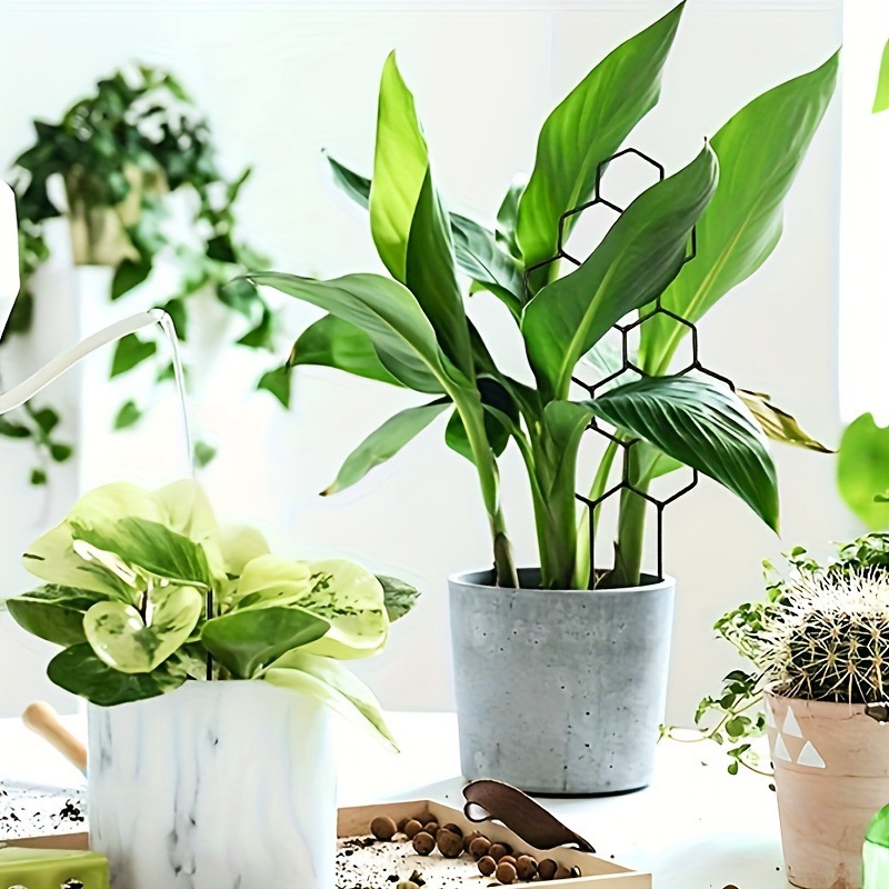 1 Pezzo Griglia per Piante a N - Indoor Herb Garden recensione e prezzo