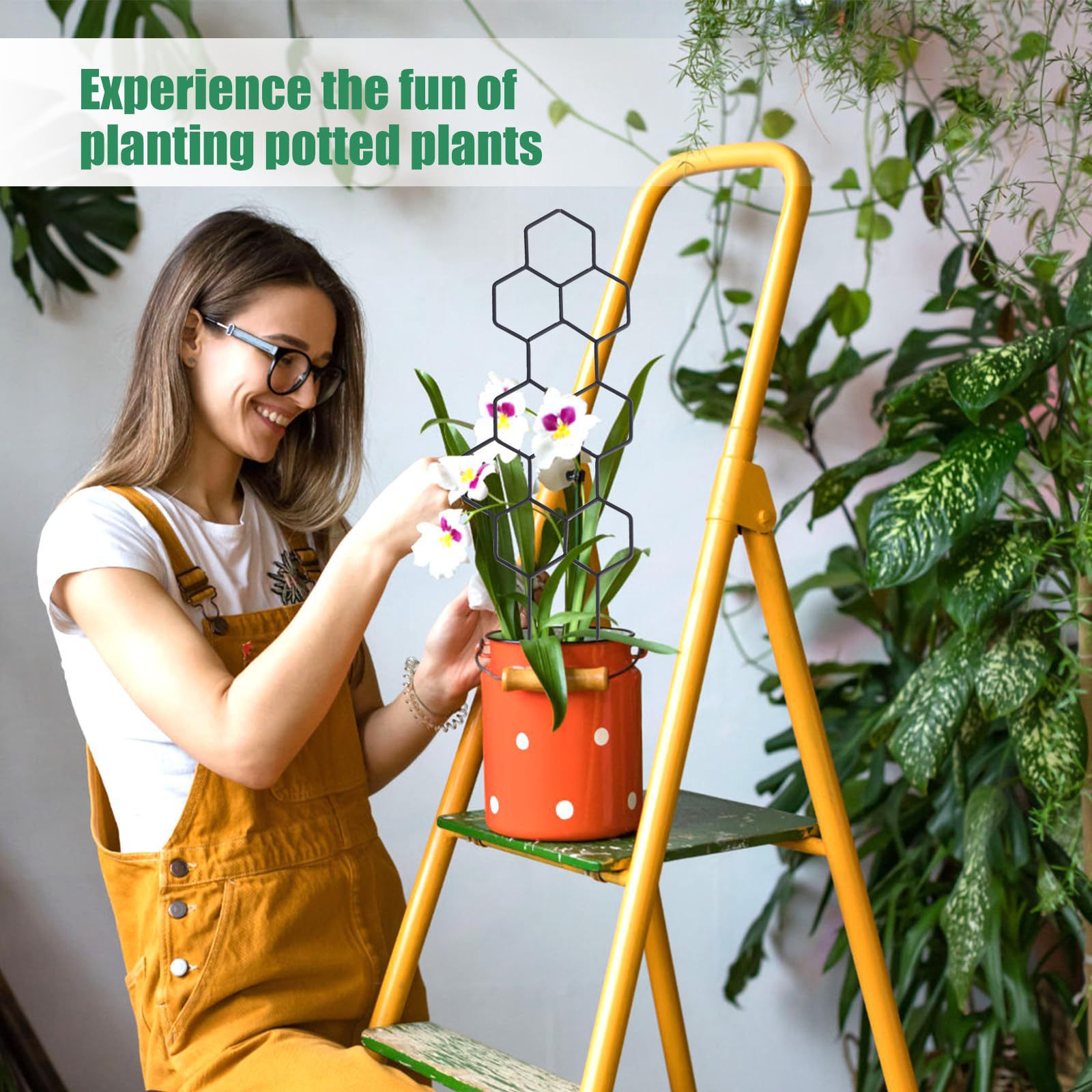 1 Pezzo Griglia per Piante a N - Indoor Herb Garden recensione e prezzo