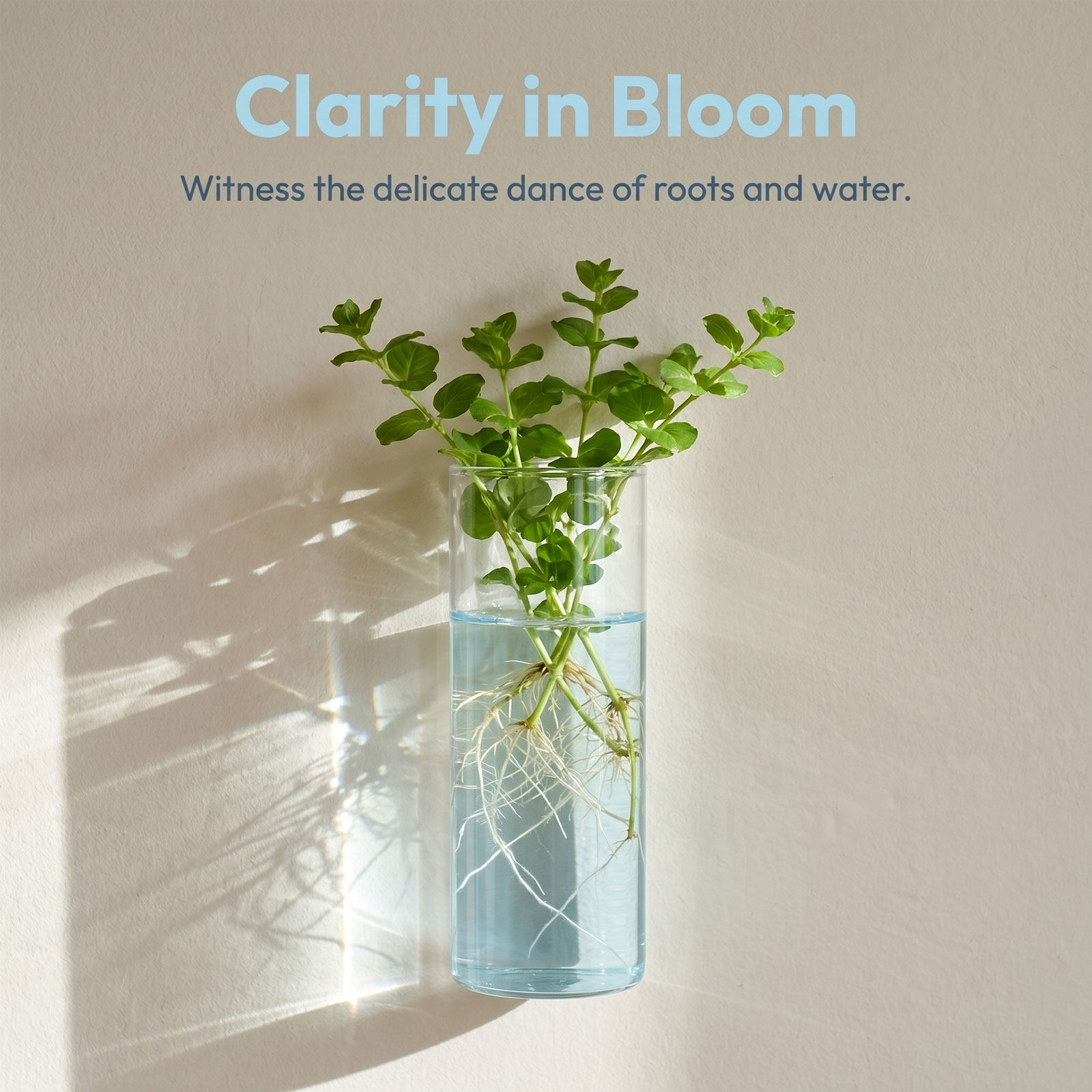 5 pezzi di vasi da parete cili - Vertical Planter recensione e prezzo