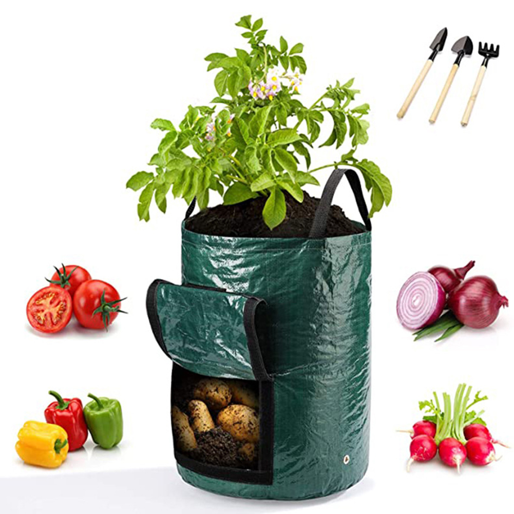 1 sacchetto da 10 galloni per  - Grow Bag recensione e prezzo